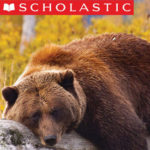 SCHOLASTIC LEARN AT HOME